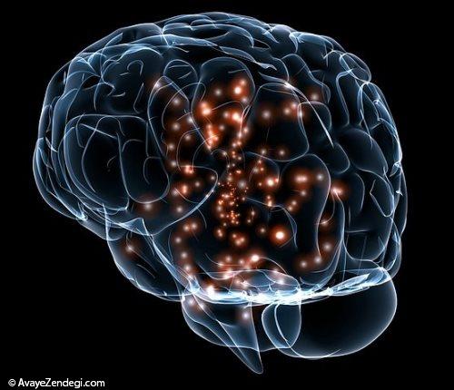 43 حقیقت جالب درباره مغز انسان که نمی دانستید! (2)