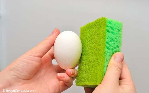 نحوه تمیز کردن و نگهداری تخم مرغ