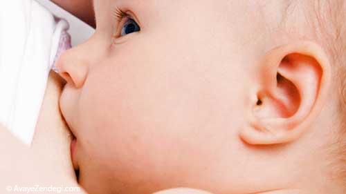 افزایش شیر مادر با 5 گیاه دارویی