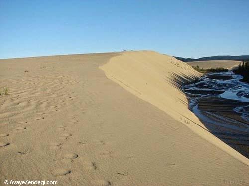 کویری در میان جنگل انبوه