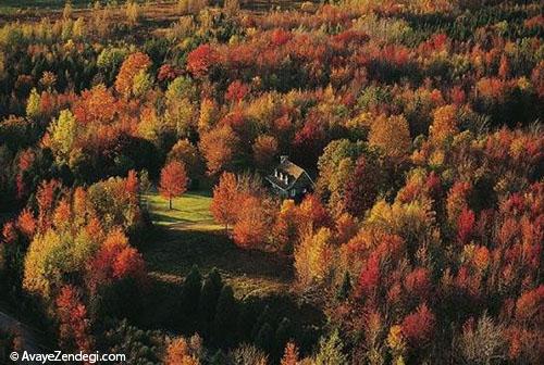 خانه هایی برای تنهایی